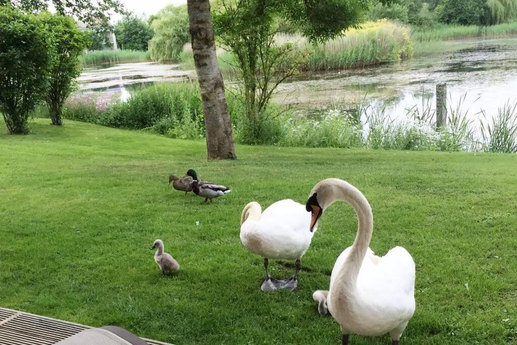 Cotswolds Lake Side Home With Luxury Spa Swallows Nest,Lower Mill Estate, Lakeside Home And Spa With A Harry Potter Cupboard Under The Stairs Somerford Keynes エクステリア 写真